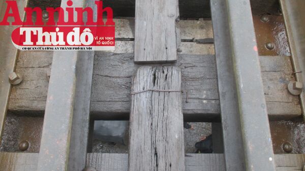 ảnh 12