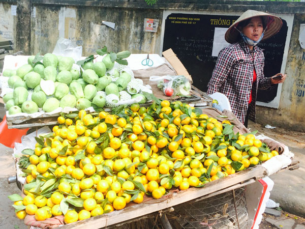 Trái cây Trung Quốc ùn ùn dội chợ - Ảnh 1 Trái cây Trung Quốc ùn ùn dội chợ - Ảnh 1