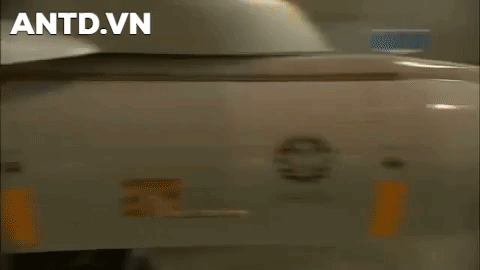 ảnh 1