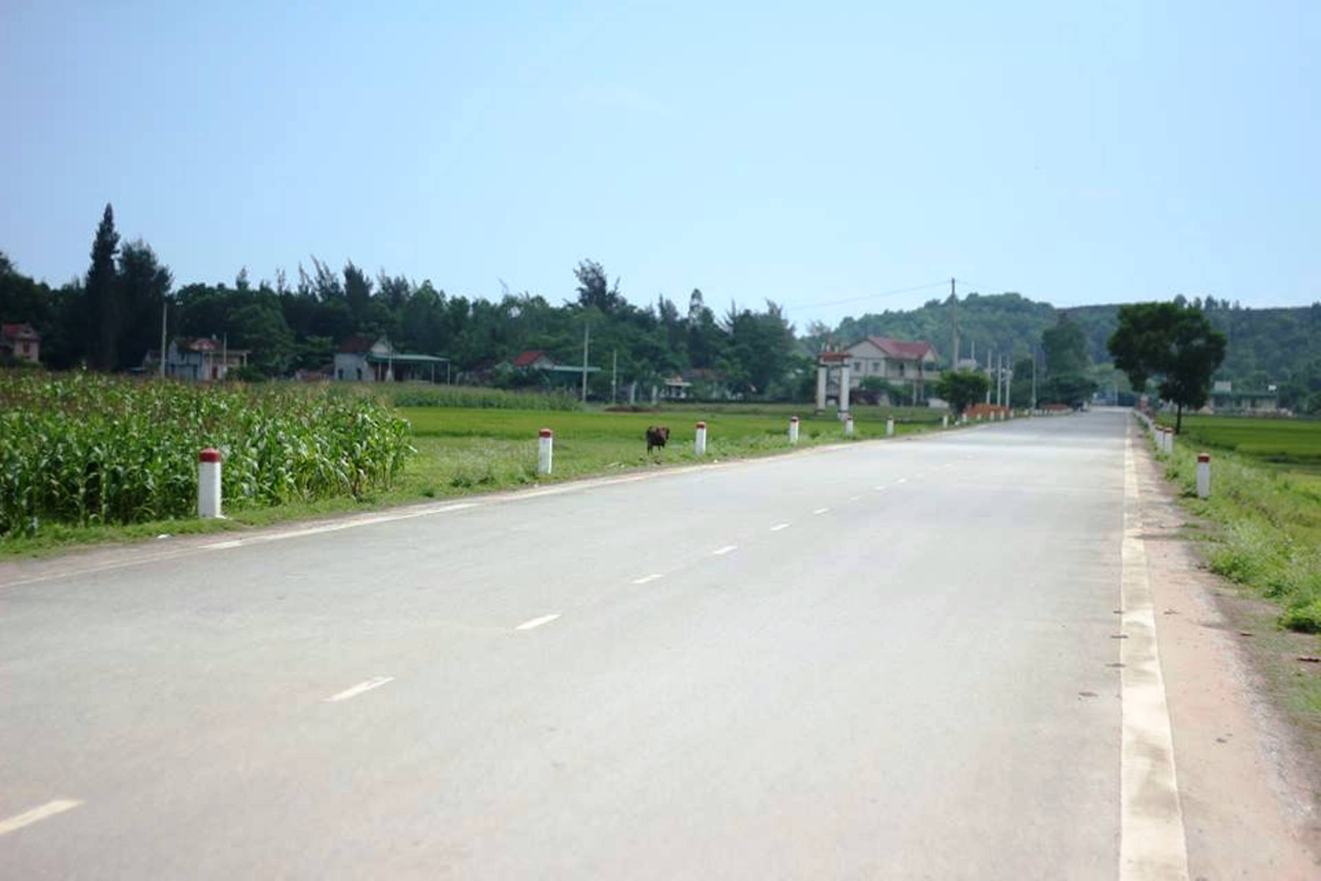ảnh 3