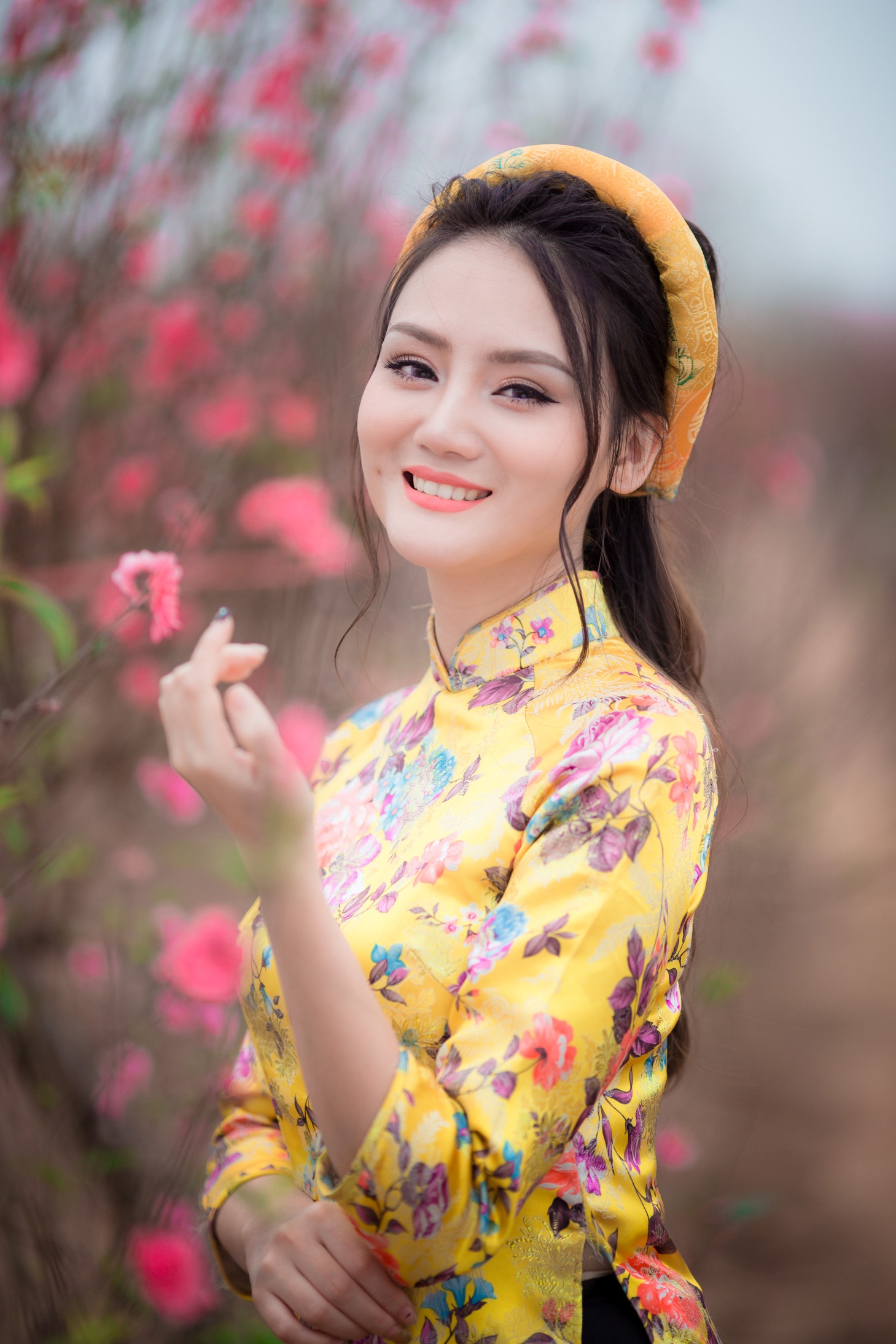 ảnh 5