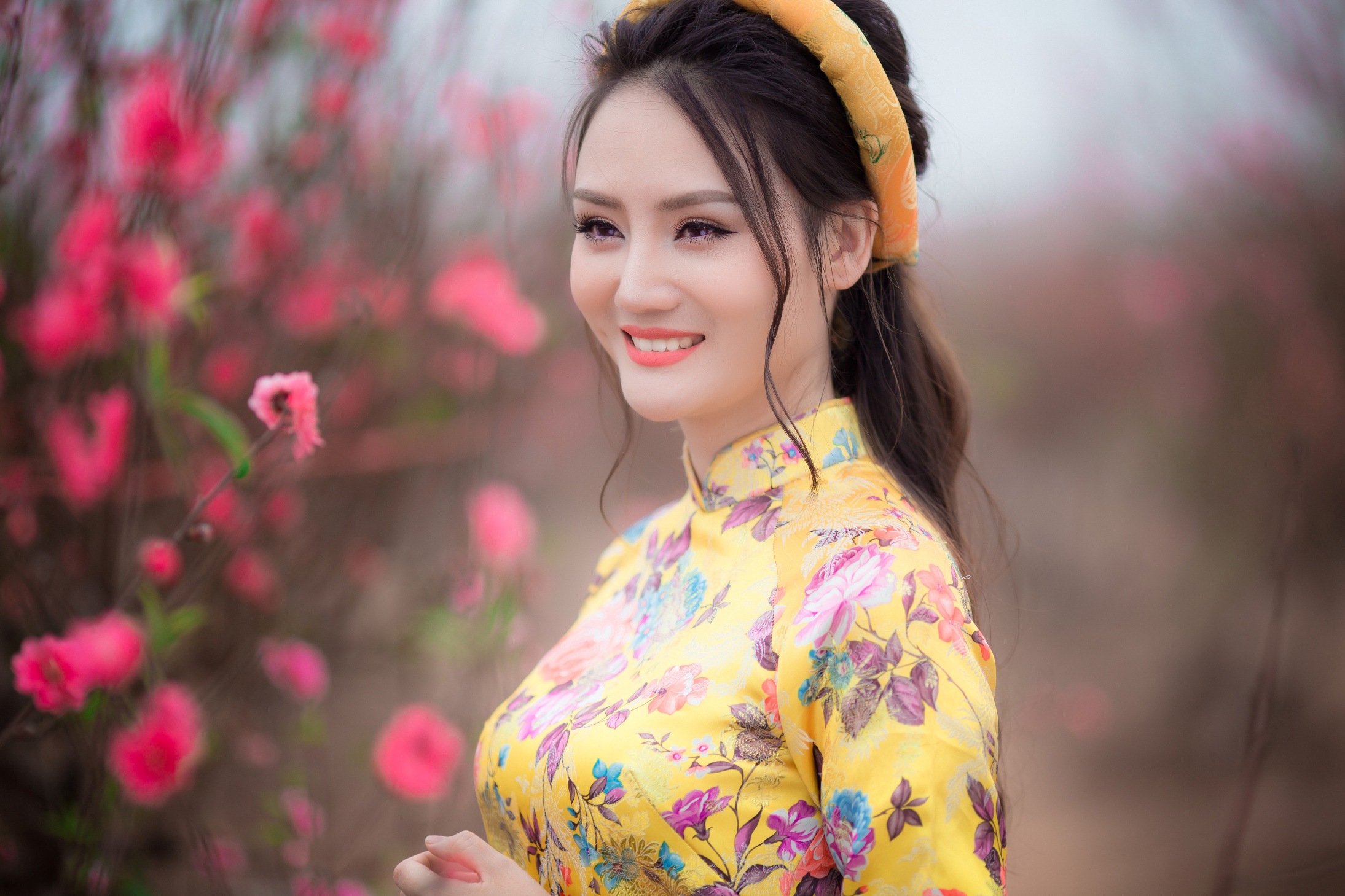 ảnh 6