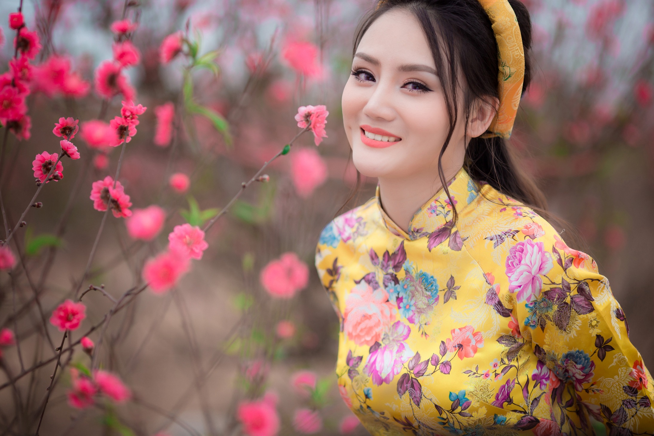 ảnh 1