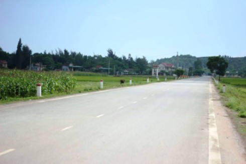 ảnh 2