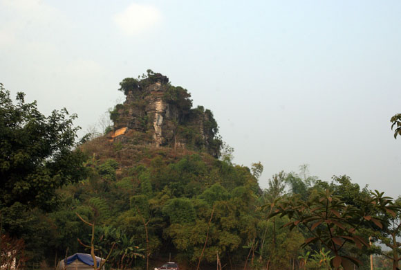 ảnh 1