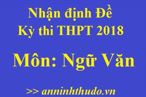 ảnh 1