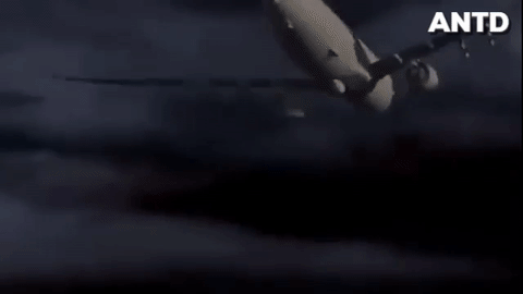 ảnh 1