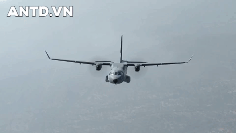 ảnh 1