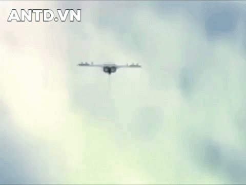 ảnh 1