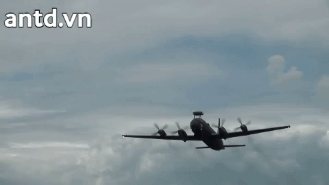 ảnh 1