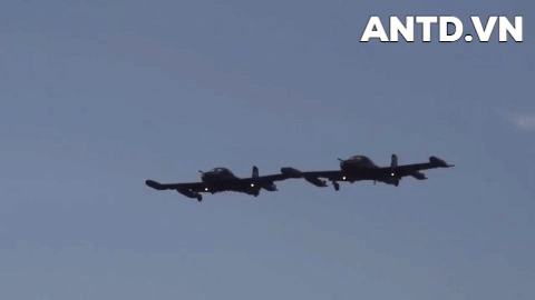ảnh 1