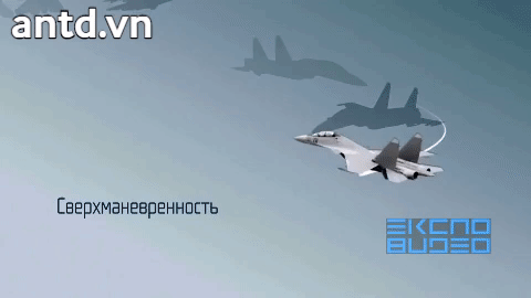ảnh 1