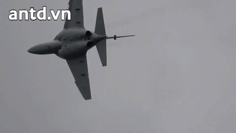 ảnh 1