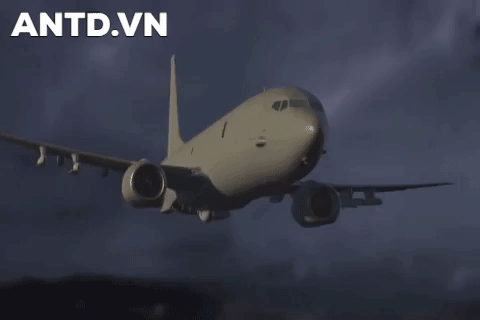 ảnh 1