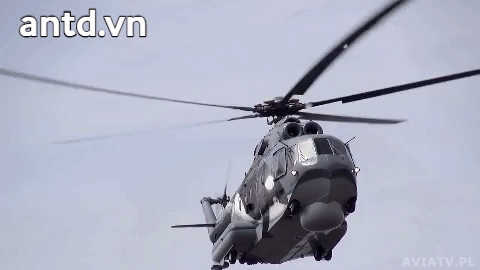 ảnh 1