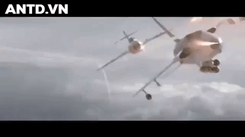 ảnh 1