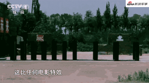 ảnh 8